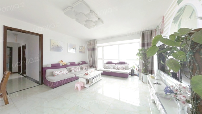 金东世纪A二手房实景图