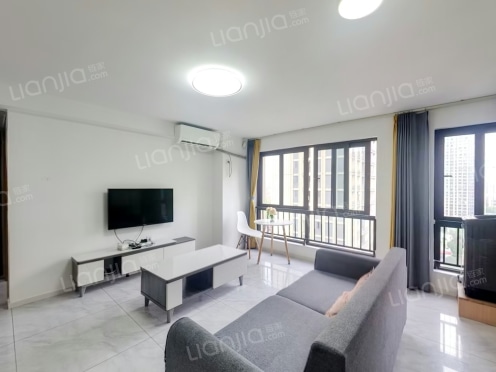 整租·金科天宸11街区 1室1厅 南