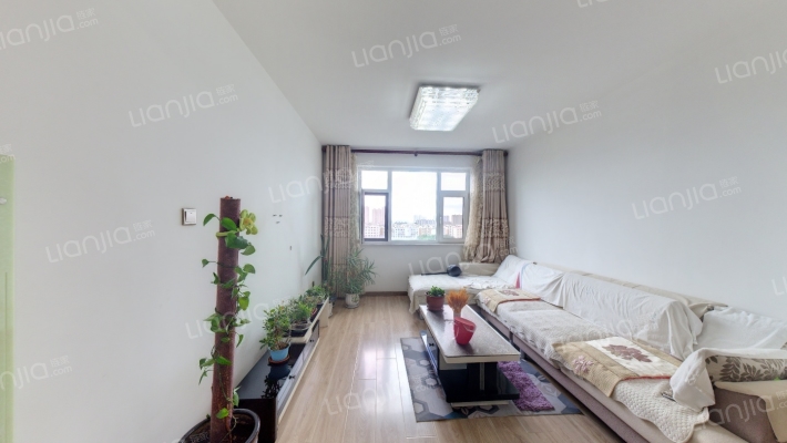 东田青年城C区二手房实景图