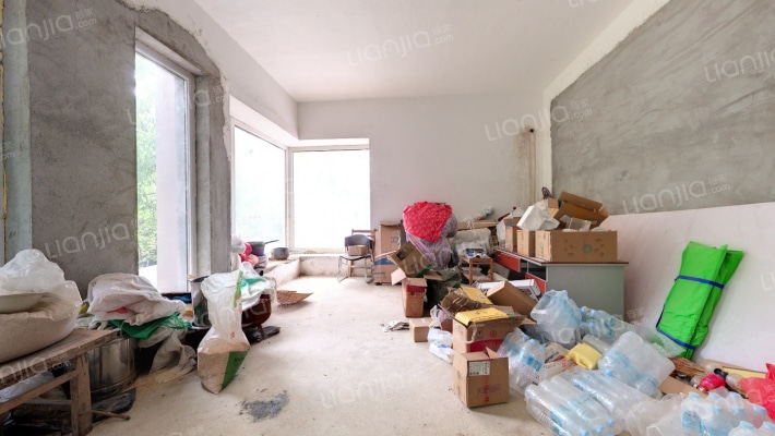 南岸别墅二手房实景图