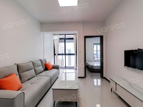 整租·天府明庭C区 1室1厅 南