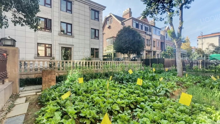 香缇半岛二手房实景图