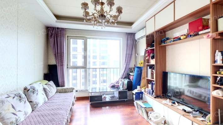 出售狮子城一居室.满五唯一.装修全屋定制房-客厅