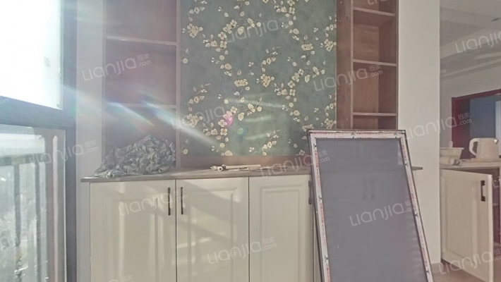 艺星湖景苑二手房实景图