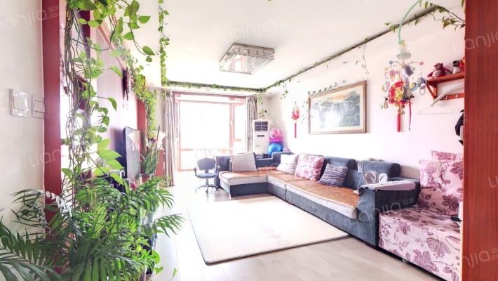 德信商圈，本地改善型板楼社区，采光好，视野不错-客厅