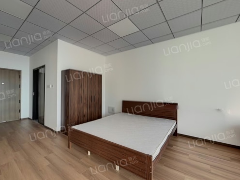 整租·金茂悦览秀 1室1厅 南