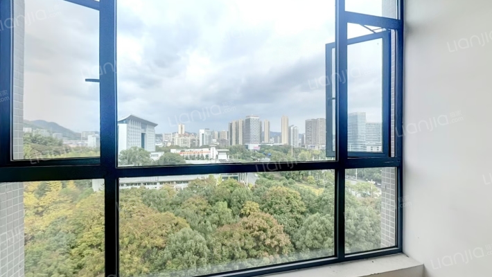 世纪大道18号二手房实景图