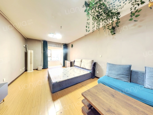 整租·黄金国际 1室1厅 南