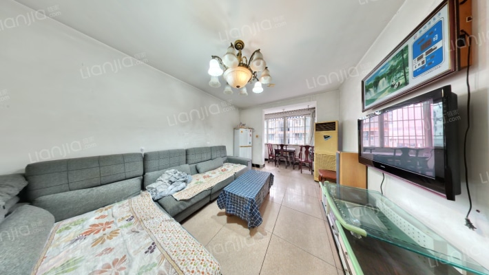 槐树苑A区二手房实景图