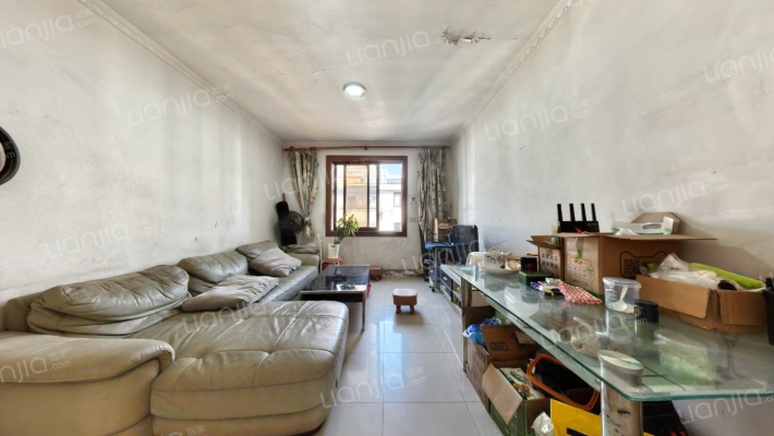 乐苑小区二手房实景图