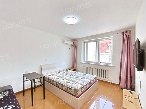 整租·北京街南 1室1厅 东