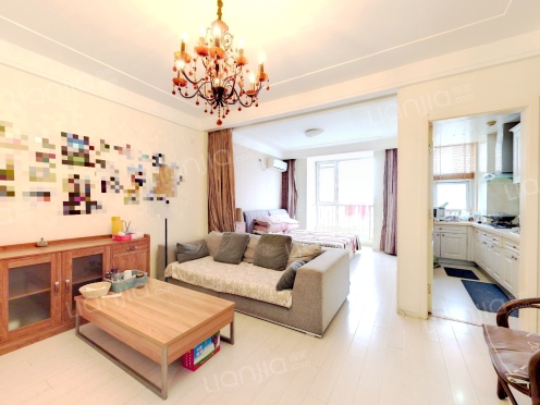 整租·都市118 1室1厅 东