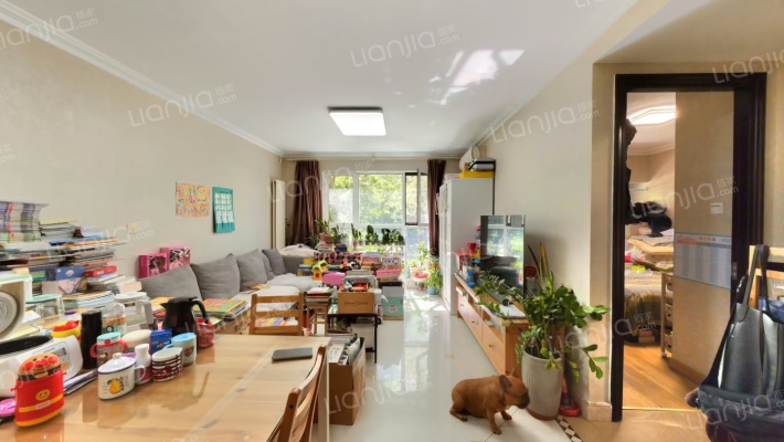 富力桃园C区二手房实景图