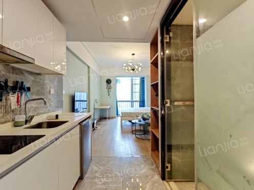 整租·万科金色乐府 1室0厅 南