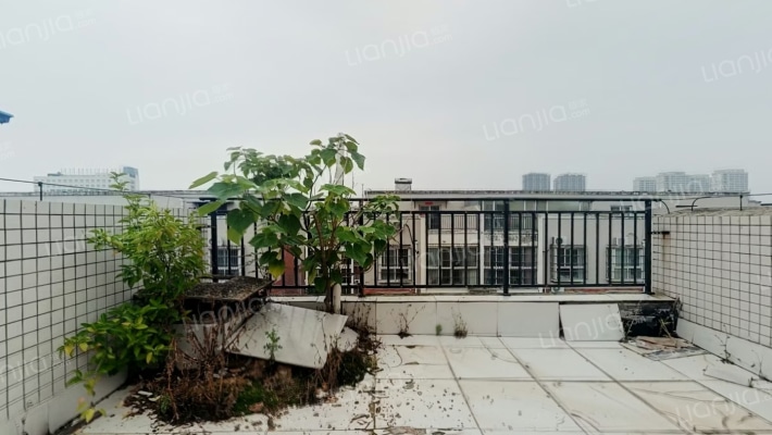 幸福花开A区二手房实景图