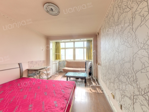 整租·东莞一路 1室0厅 东