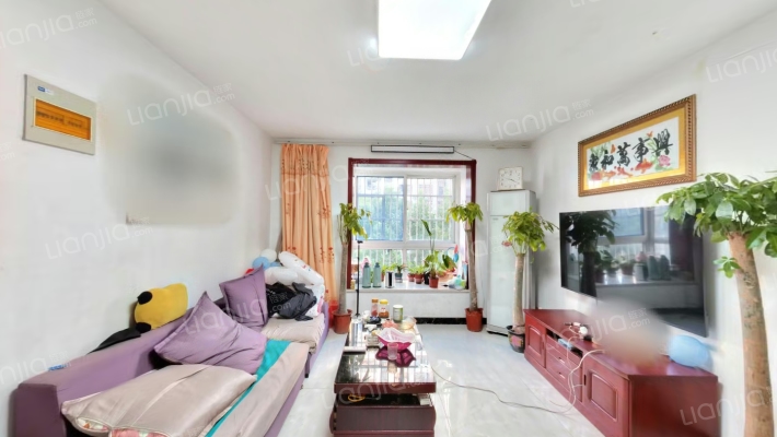 滨湖康园南区二手房实景图