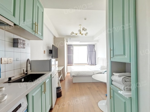 整租·金隅和悦 1室1厅 东