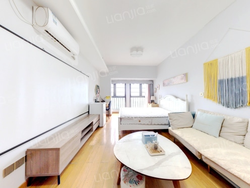 整租·星河盛世 1室0厅 东南