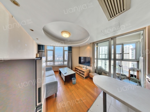 整租·达利广场 1室1厅 南