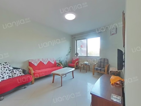 整租·国际名都 1室1厅 东