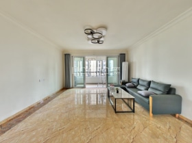 一梯一户，私密性强，四开间朝南，带车位，好楼层