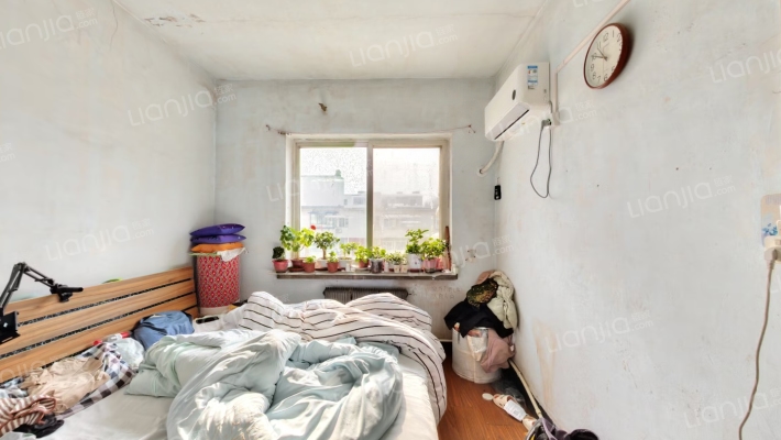 213煤炭宿舍 二手房实景图