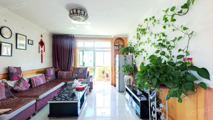 房本满五，税费低，精装修自住，温馨干净-客厅