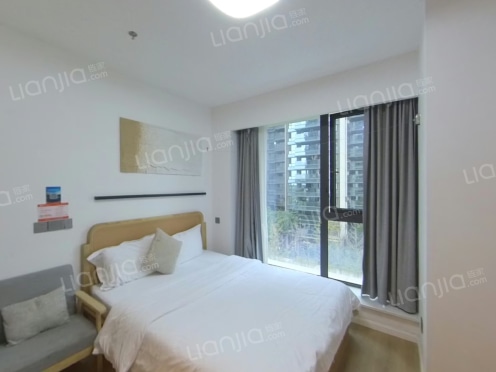 整租·天府之窗星耀 1室1厅 南