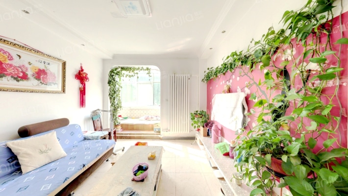 五三四小区二手房实景图