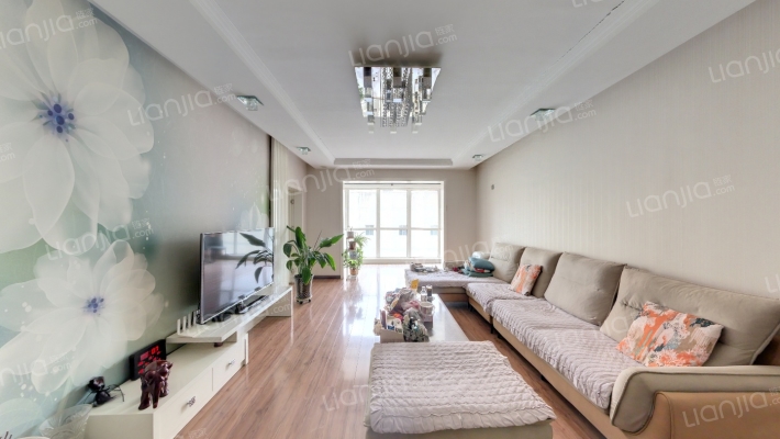 丽都家园二手房实景图