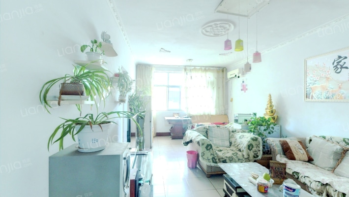 烟草车队家属院二手房实景图