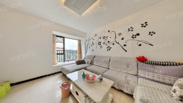 新神风八座二手房实景图