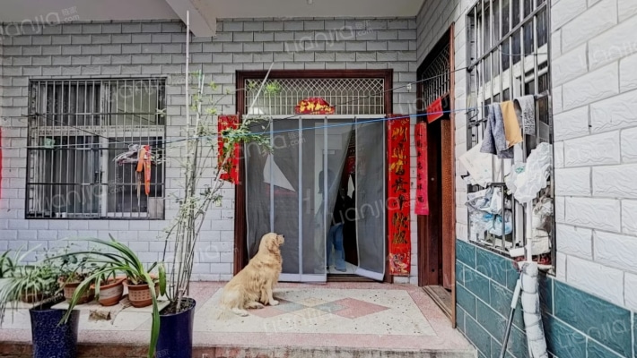 市政家属院二手房实景图