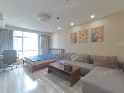 整租·丽晶御筑 1室1厅 南