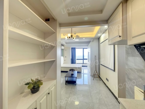 整租·万达中央领寓 1室1厅 南