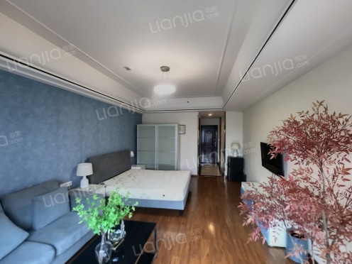 整租·南沙万达广场 1室1厅 东南