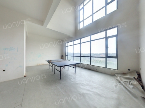 整租·桃花岛 5室3厅 跃层 南