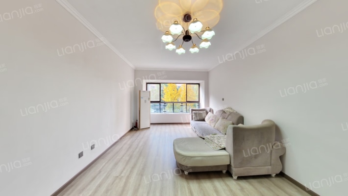 时代广场(新津)二手房实景图