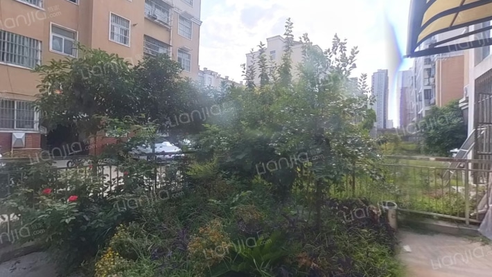 金地苑二手房实景图