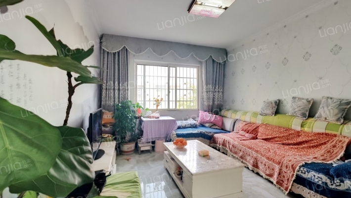 青皮安置房二手房实景图