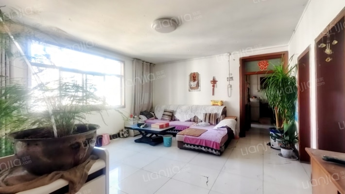 水泥厂家属院二手房实景图