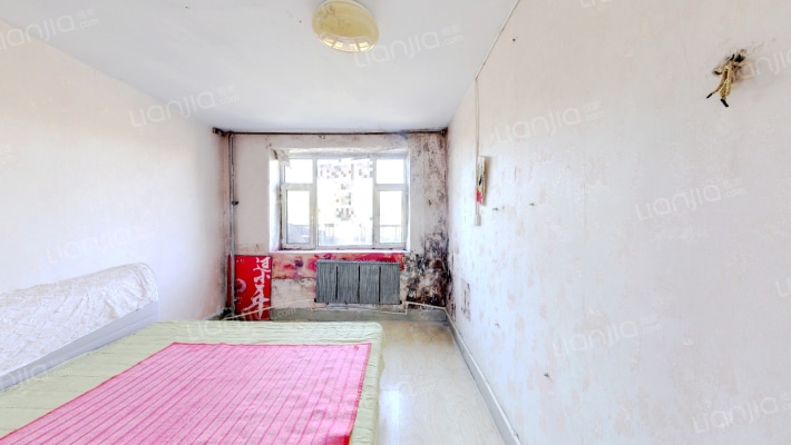 大桥委小区二手房实景图