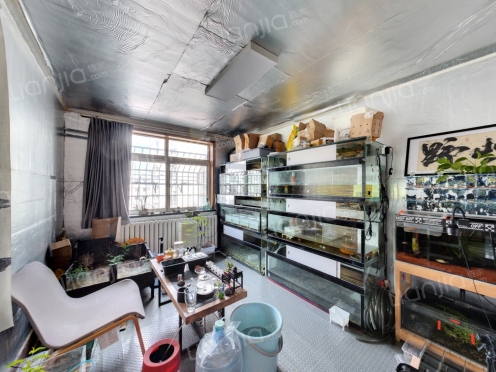 整租·镇江路（市北） 2室0厅 东/北