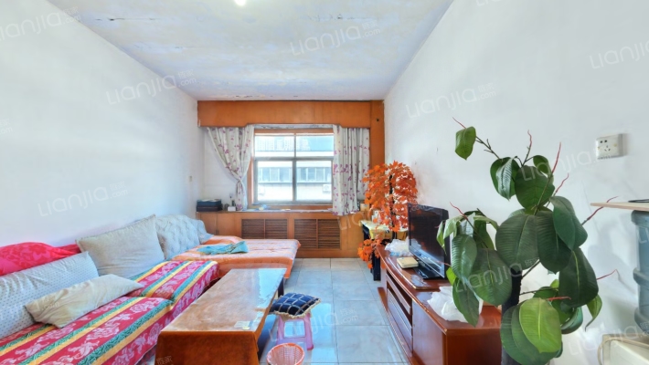 金水交通局家属院二手房实景图