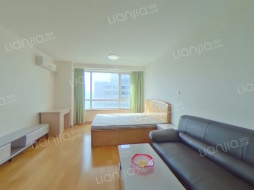 整租·金色年华公馆 1室1厅 西