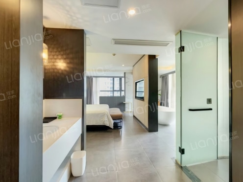 整租·泰合国际财富中心 1室1厅 南