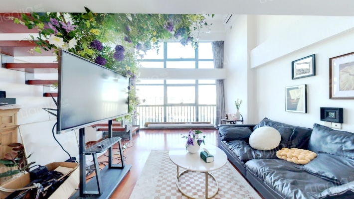 星河上寓二手房实景图