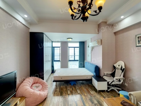 整租·大唐国际公寓 1室1厅 北