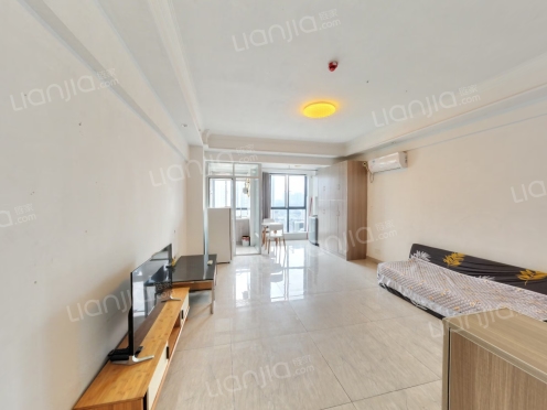 整租·华邦国际 1室1厅 南